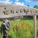 Wildbienenschaugarten Schöneweide (Berlin) in seinem 10-jährigen Jubiläumsjahr