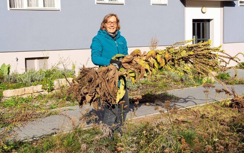 Naturschützer Dr. Corinna Hölzer bei der Gartenpflege für das Projekt „Treffpunkt Vielfalt - Naturnahe Gestaltung von Wohnquartieren“