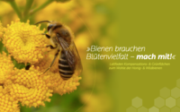 Cover, Bienen brauchen Blütenvielfalt - mach mit!