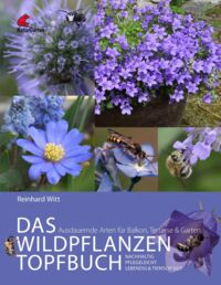 Cover Das Wildpflanzen Topfbuch