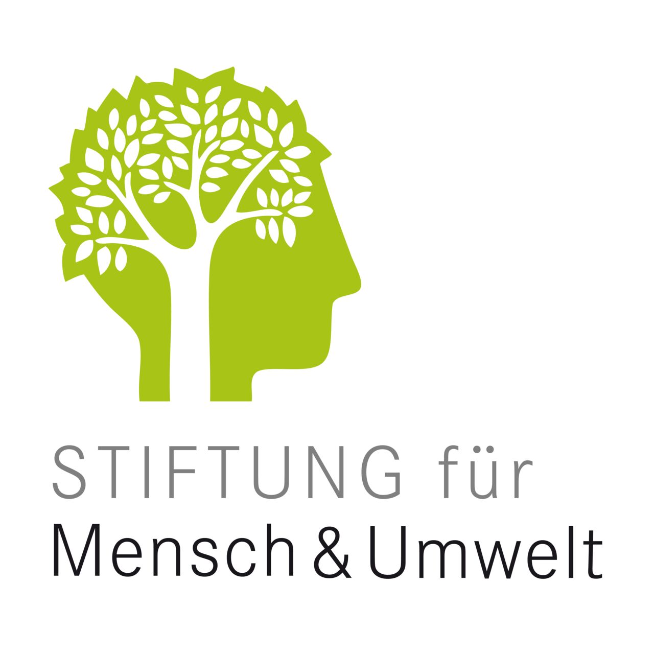 Logo der Stiftung für Mensch und Umwelt