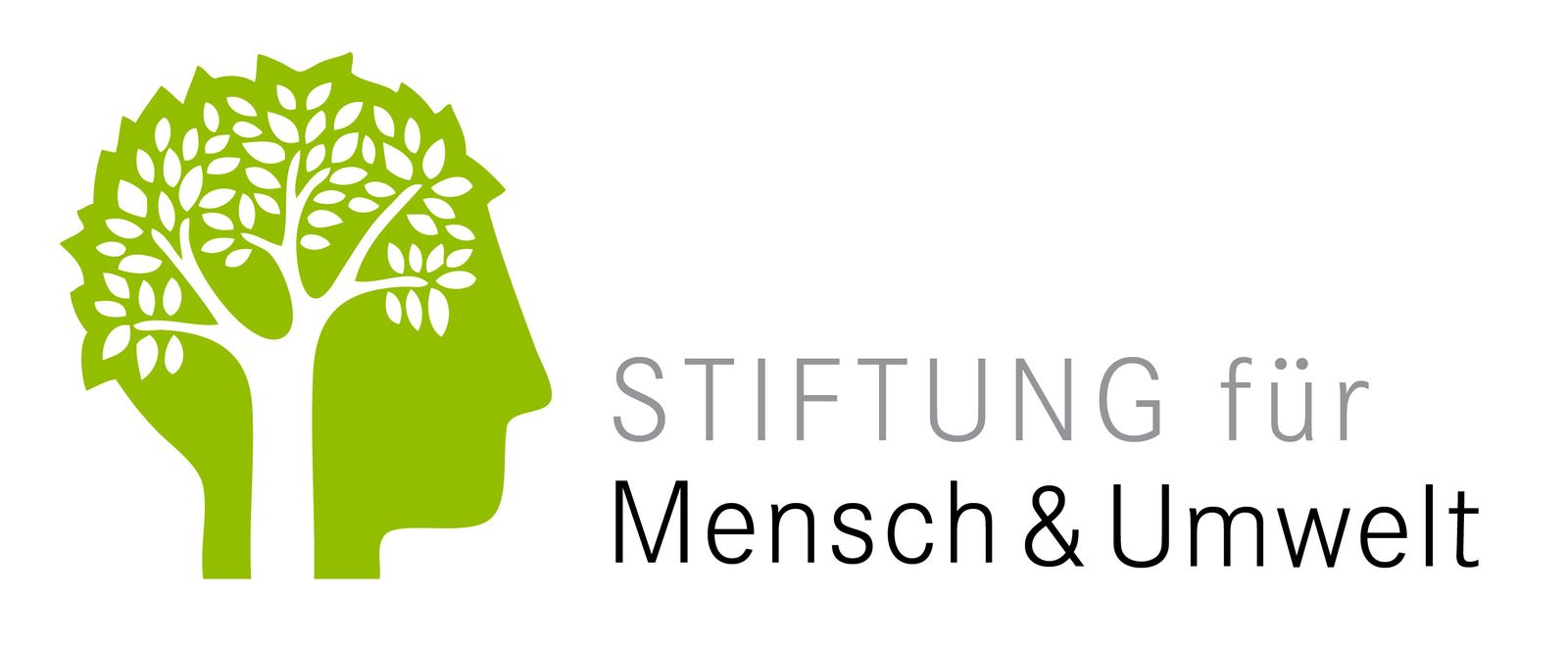 Stiftungs-Logo